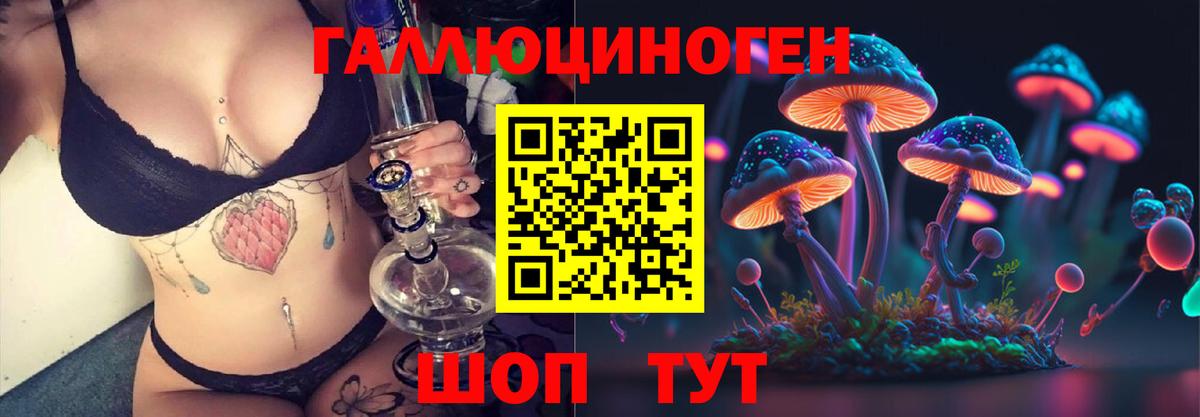 Галлюциногенные грибы Psilocybe Евпатория